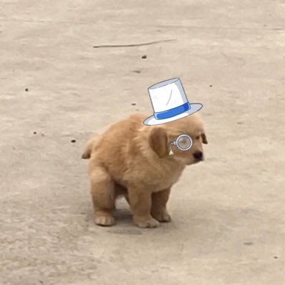 @sodaaaaa__