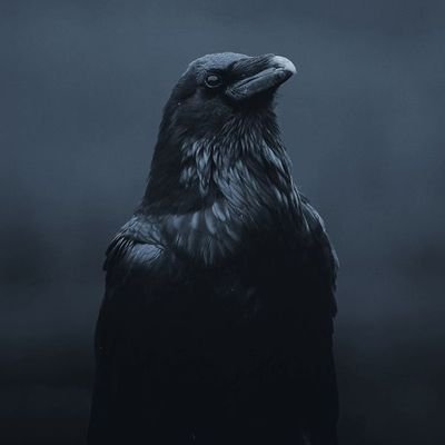 ceokarga3's profile picture. Lover of Europe and America  🇪🇺🇺🇸