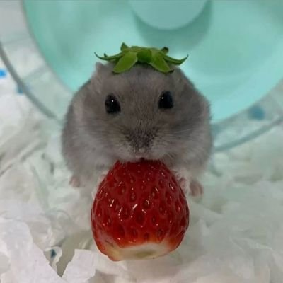 DenisseTap78439's profile picture. 