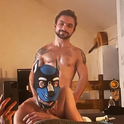 Bisexuel, 🌈
Handler of @branco_puppy . switch/31 /belgium 🇧🇪
Mp for collab with me and my pup
telegram NSFW channel : https://t.co/i2e7s0wphR