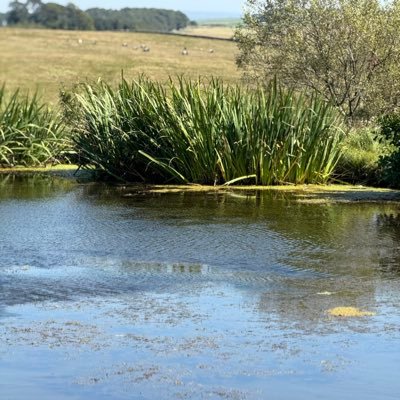 M66Alison's profile picture. Hectic