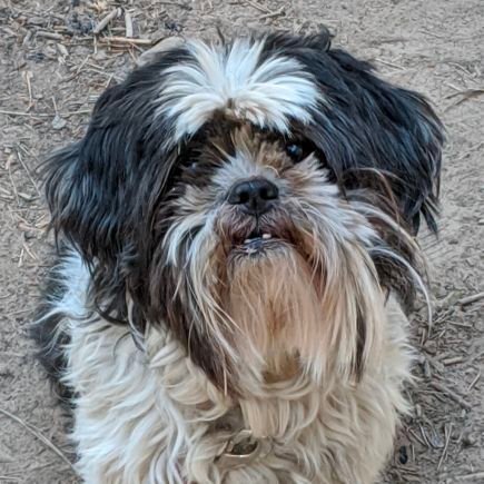 russellkr23's profile picture. 