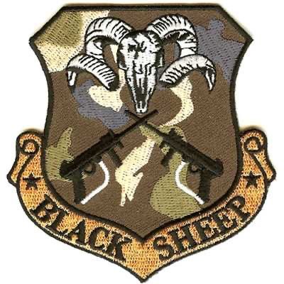 C.i.C Elite Mountain Sheep Brigade , Recon Div .