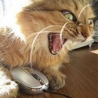 Smackdown (@somerbridge) 's Twitter Profile