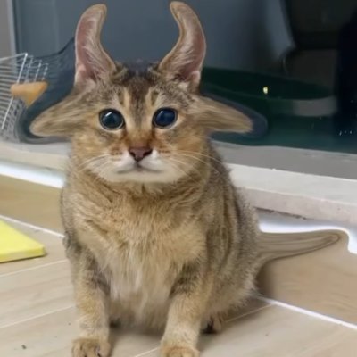 Dimon4ik1569's profile picture. 