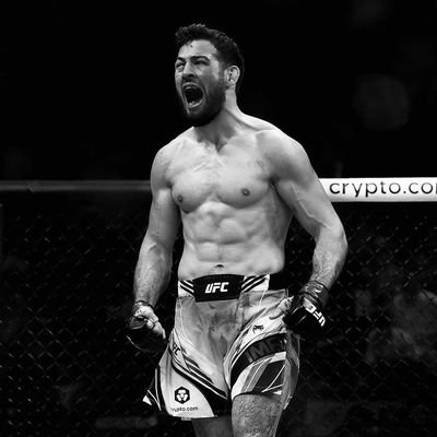 jaserya37's profile picture. fener
gaethje
tedesco