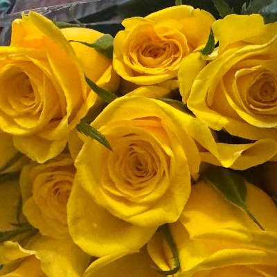 Zytiarra's profile picture. for the love of books...