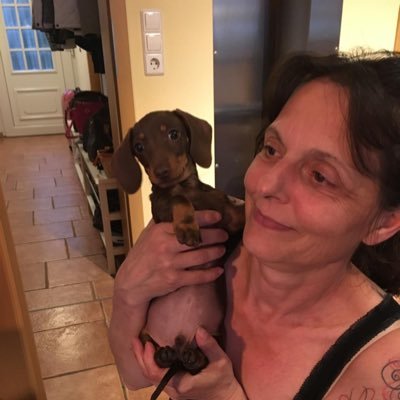 KlittichC's profile picture. 