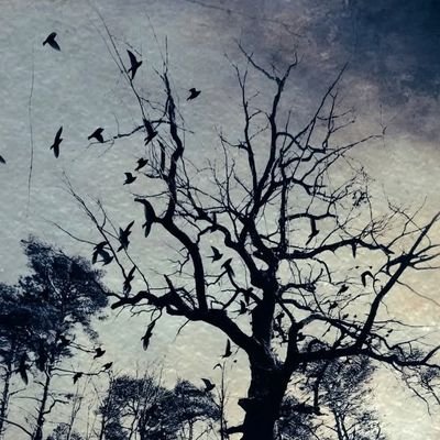 any_road_1j's profile picture. 