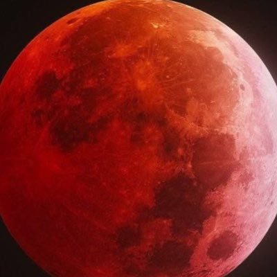 h11raeth's profile picture. 