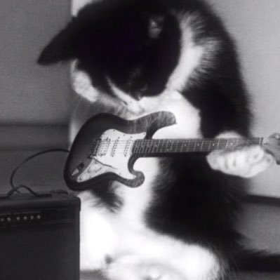 Noah7photos's profile picture. |phil 4:13|