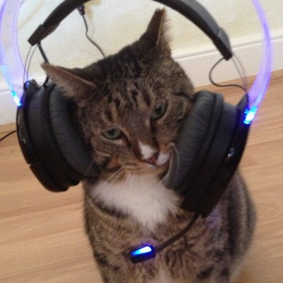 ngamzraul's profile picture. music lover, cs
