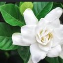 Ana Werner - @WernerNenus - Twitter