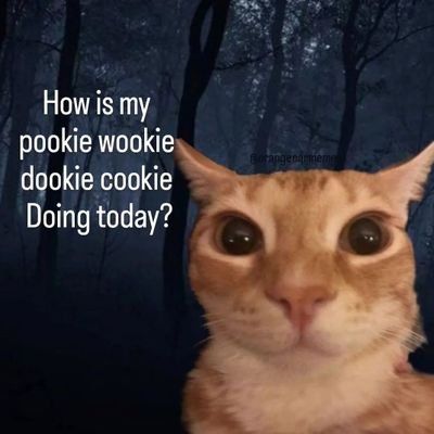 @oogaboogacheesy