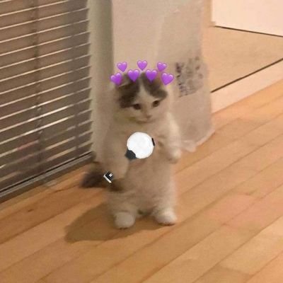 🏳️🌈Bisexual✨️ with•my•7•4•life 👁🫦👁 2020 ARMY💜 🧸 @notnabi777