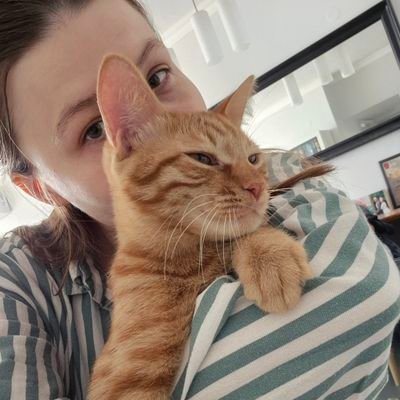 PhD student, Comms advisor.
הוֹי הָאֹמְרִים לָרַע טוֹב, וְלַטּוֹב רָע: שָׂמִים חֹשֶׁךְ לְאוֹר וְאוֹר לְחֹשֶׁךְ, שָׂמִים מַר לְמָתוֹק וּמָתוֹק לְמָר.