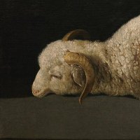 triz (@alteridwm) 's Twitter Profile