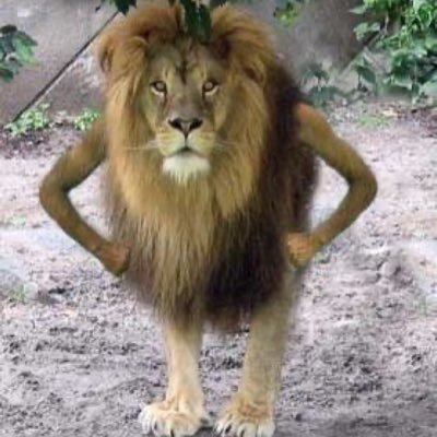 NotAburnerIdiot's profile picture. 