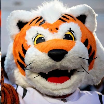 ScottJerin40921's profile picture. 