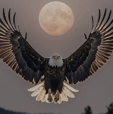 sillem42's profile picture. konya sille ,kendi işinin patronu, konyasporlu ,otizimli evlat sahibi❤ koç burcu