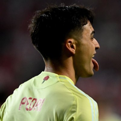 tooviscaelbarca's profile picture. that one friend who is too visca el barça