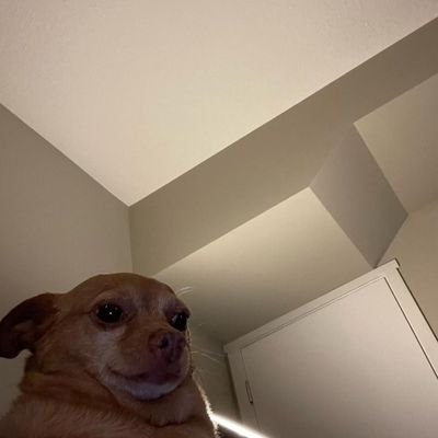 natiiekeyz's profile picture. 