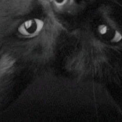 lenasbxl's profile picture. 