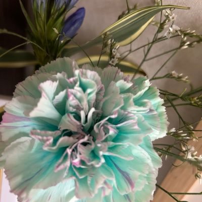 2kikiiro's profile picture. 😆😢😠