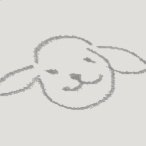 Banjo tooieさんのプロフィール画像