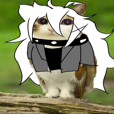 -ele/dele- 18y
-Guitarrista e Vocalista, e Vtuber nas horas vagas-
🐱🌙 banner por: @canvaseal