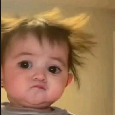 unhinged shitposting and scrolling to see cute cat posts, sports nerd ! i love clicking pictures of mundane stuff