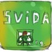 svidaorg