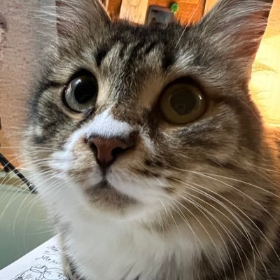 Ymilさんのプロフィール画像