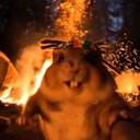 Lewis Curtis - @LewisRCurtis - Twitter