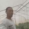 emmaowo16's profile picture. Agriculturist (Animals+Crops+Hydroponics+Drone+Data), Aspiring AgroTech expert.  I love Geography, History, Wildlife and Football. Tech+Data+Agric=🔥