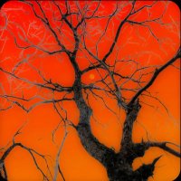 第十九夜 (@wenerzcold) Twitter profile photo