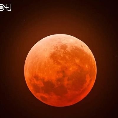 TerrorPani60561's profile picture.