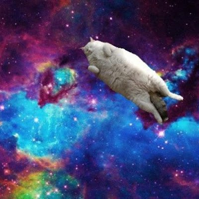 NaomiDaniels88's profile picture. 