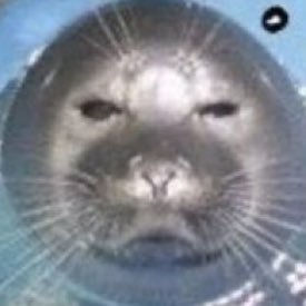 slurmmunist's profile picture. Internationalism fan