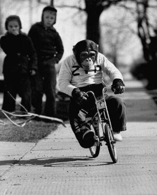 leftzada's profile picture. Jesus is King