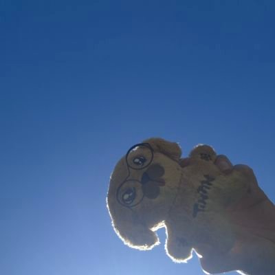 duizhangimja's profile picture. Fangirl mode ♡ 🐕🐶🐾