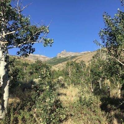 I enjoy our public lands. Fotos are of 10,002 ft Chimney Rock, East Humboldt Range, Nevada, Humboldt Toiyabe National Forest, @HumboldtToiyabe
