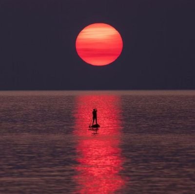 Doods87701463's profile picture. Loves str8 married Pinoy cocks