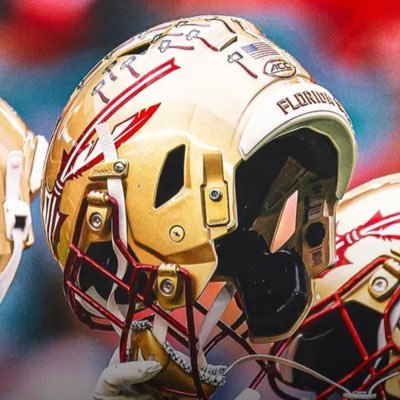 Nickwiz17's profile picture. Just a guy from Tampa FL who supports the bucs and noles!