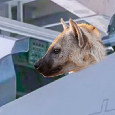 notsosmartboi2's profile picture. Guy gay for military technology