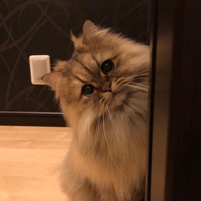 luna_hanyel's profile picture. ࣪ ִֶָ☾. ⭒˚𝚝𝚘 𝚖𝚎 𝚢𝚘𝚞 𝚠𝚒𝚕𝚕 𝚋𝚎 𝚞𝚗𝚒𝚚𝚞𝚎 𝚒𝚗 𝚊𝚕𝚕 𝚝𝚑𝚎 𝚠𝚘𝚛𝚕𝚍 ⋆ ⭒˚ ִֶָ☾. ⋆˙⟡♡ i just read and love ⋆˙⟡♡