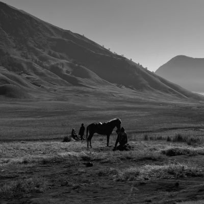 alamsutraa's profile picture. ⚙️| Just my dump, mute/block if annoyed