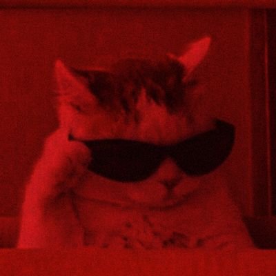 ㅤㅤ❝Porque agora nós temos os mesmos olhos.❞ㅤ
pt, eng & esp (learning) | minors DNI | ela/dela/she/her