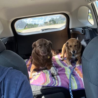 jpbraun12's profile picture. teacher. kane and stella’s dad.