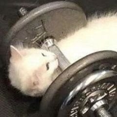 ź·øė¦¬ź³ ź·øė¦¬ź³ ź·øė¦¬ź³ ź·øė¦¬ź³ ź·øė¦¬ź³ ź·øė¦¬ź³ ź·øė¦¬ź³ ź·øė¦¬ź³ ź·øė¦¬ź³ ź·øė¦¬ź³ ź·øė¦¬ź³ ź·øė¦¬ź³ ź·øė¦¬ź³ ź·øė¦¬ź³ ź·øė¦¬ź³ ź·øė¦¬ź³ ź·øė¦¬ź³ ź·øė¦¬ź³ ź·øė¦¬ź³ ź·øė¦¬ź³ ź·øė¦¬ź³ ź·øė¦¬ź³ ź·øė¦¬ź³ ź·øė¦¬ź³ ź·øė¦¬ź³ ź·øė¦¬ź³
š°š·
Sorry for my badass englishš